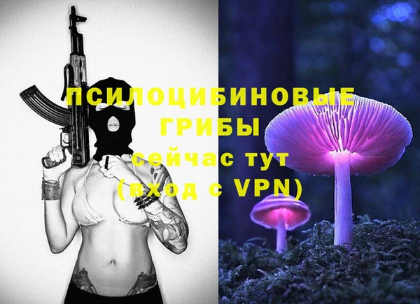 ГАЛЛЮЦИНОГЕННЫЕ ГРИБЫ Армянск