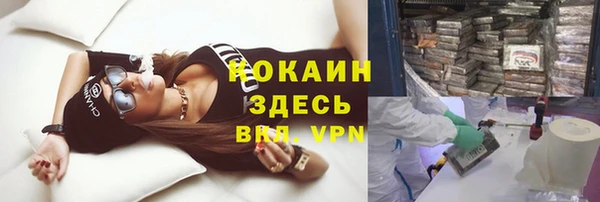 ГАЛЛЮЦИНОГЕННЫЕ ГРИБЫ Армянск