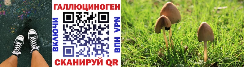 Галлюциногенные грибы прущие грибы mega ссылки Саки