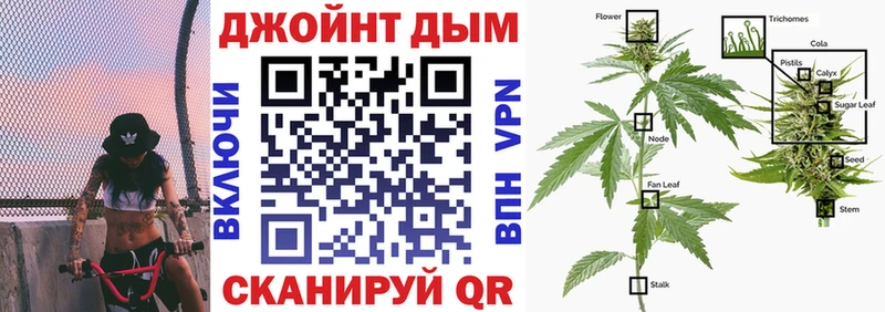 закладки  omg tor  МАРИХУАНА семена  Саки 